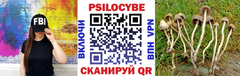 Псилоцибиновые грибы GOLDEN TEACHER Чухлома