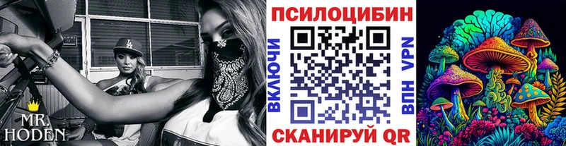 omg зеркало  дарнет шоп  Чухлома  Галлюциногенные грибы ЛСД 